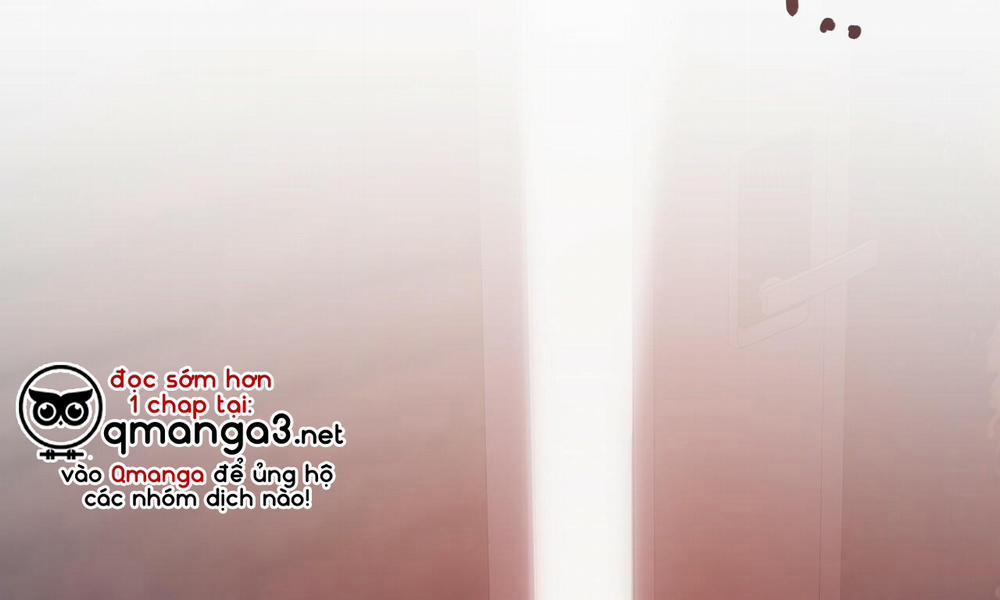 Đàn Thỏ Của Habibi 43 trang 2