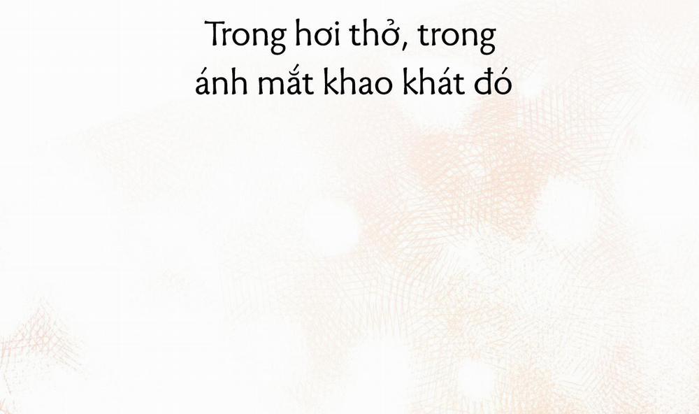 Đàn Thỏ Của Habibi 43 trang 206