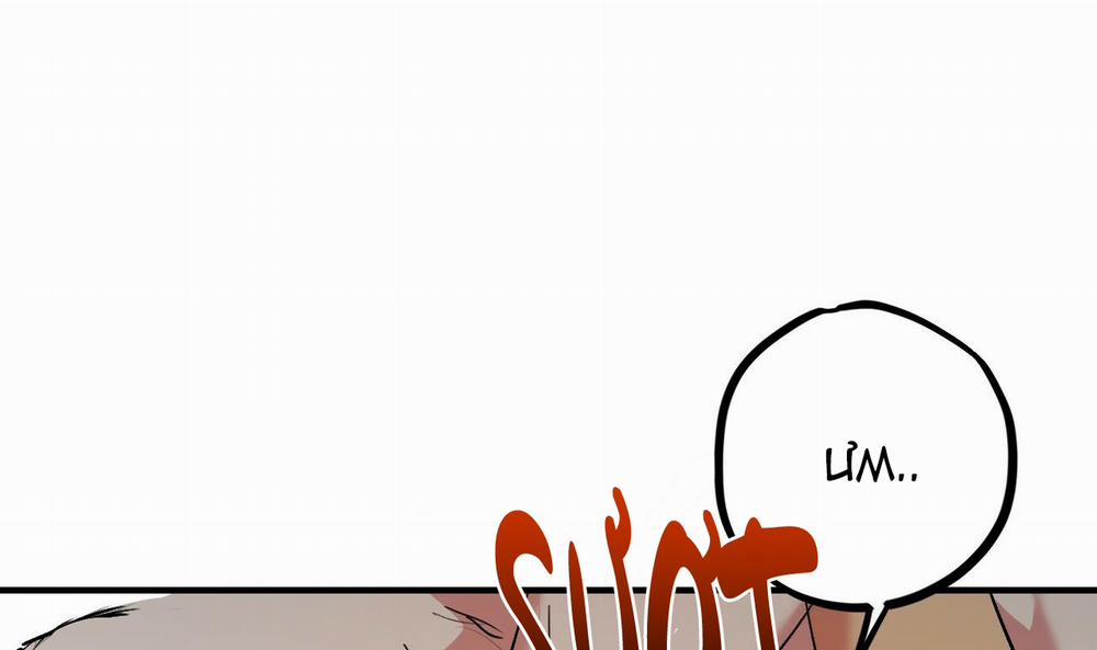 Đàn Thỏ Của Habibi 43 trang 211