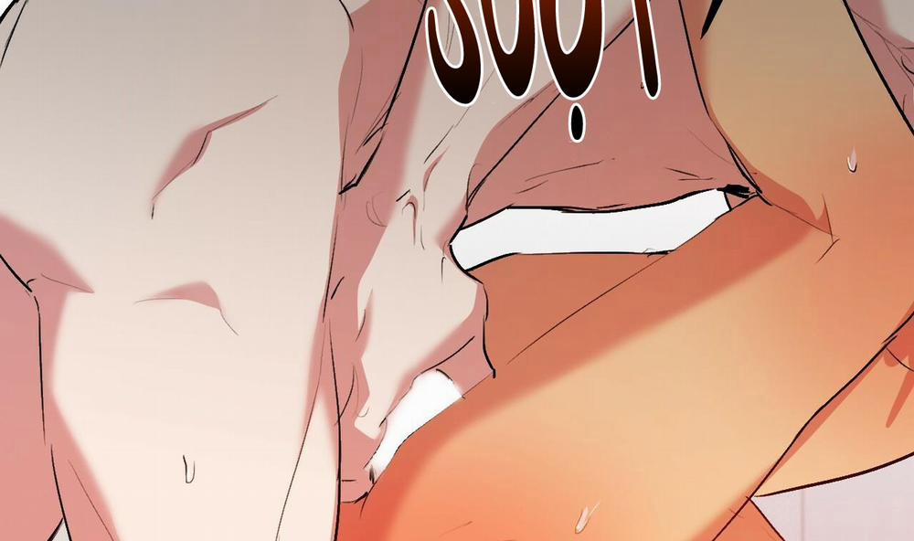 Đàn Thỏ Của Habibi 43 trang 212