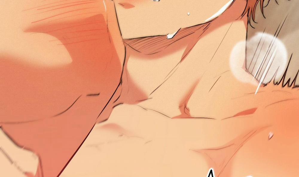 Đàn Thỏ Của Habibi 43 trang 222