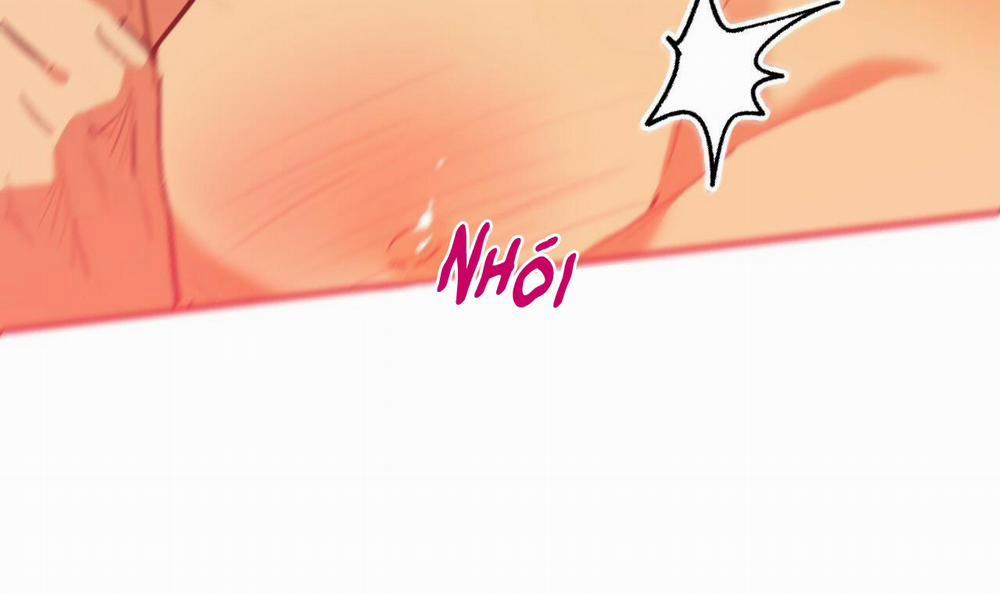 Đàn Thỏ Của Habibi 43 trang 223