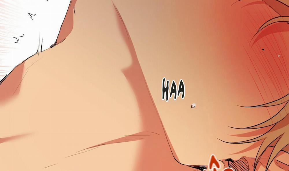 Đàn Thỏ Của Habibi 43 trang 226