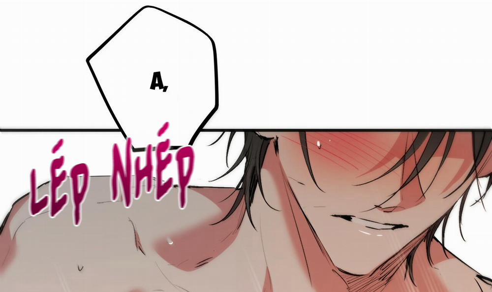 Đàn Thỏ Của Habibi 43 trang 236