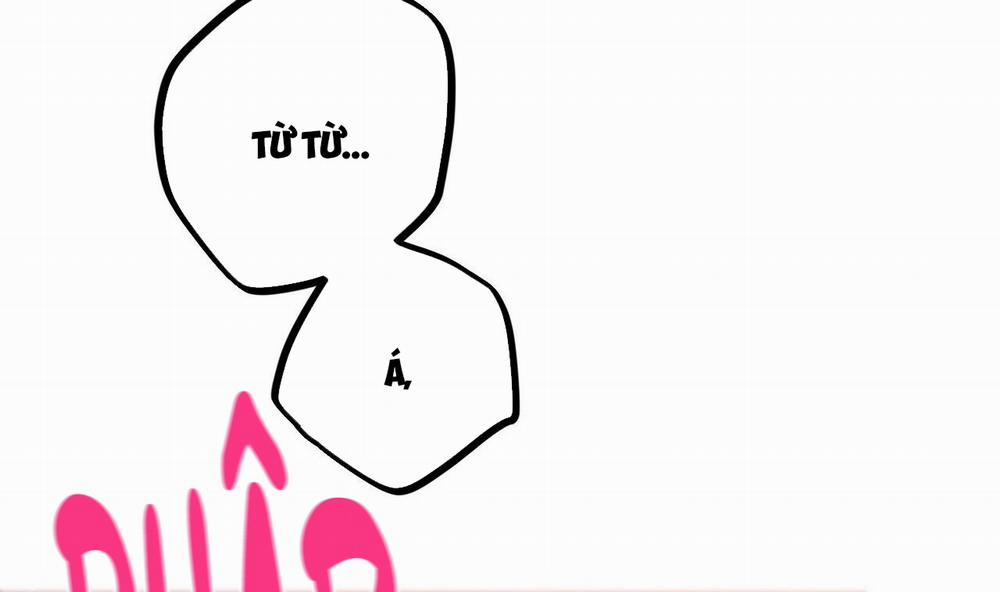 Đàn Thỏ Của Habibi 43 trang 247