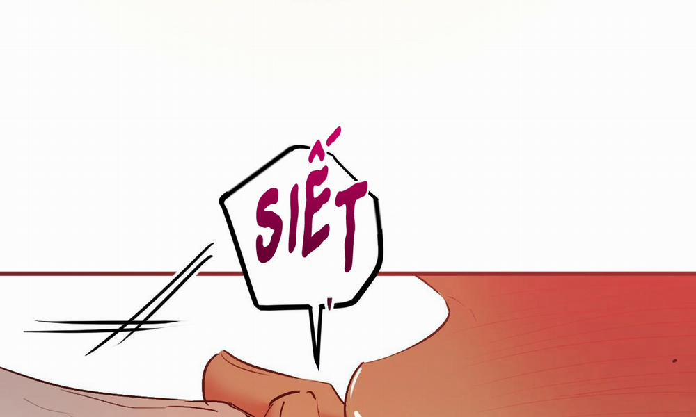 Đàn Thỏ Của Habibi 43 trang 262