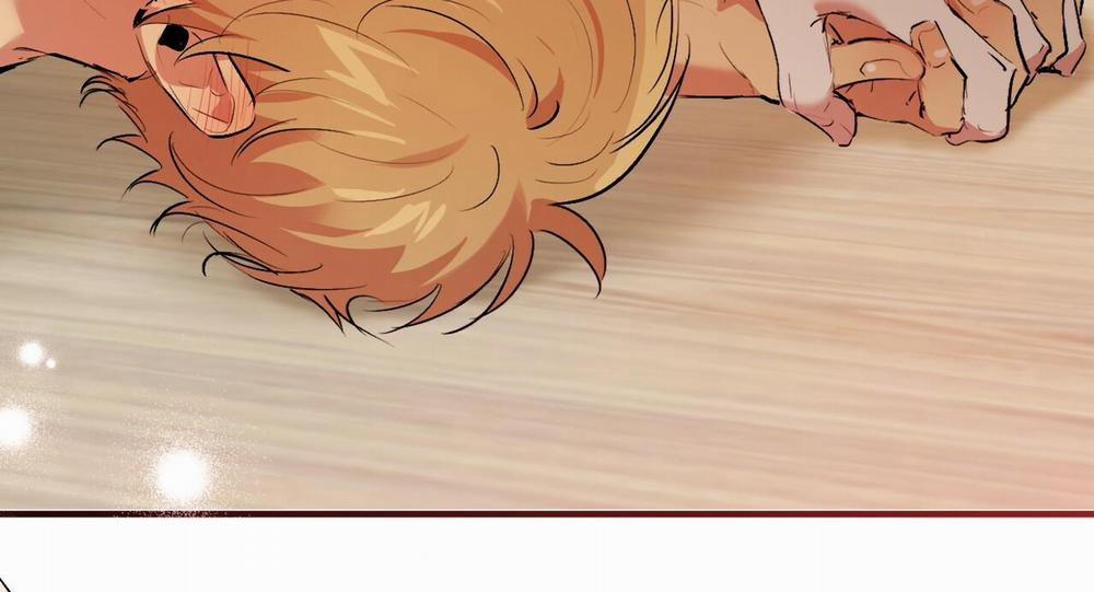 Đàn Thỏ Của Habibi 43 trang 276