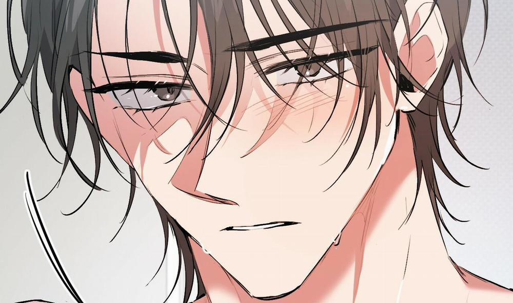 Đàn Thỏ Của Habibi 43 trang 29