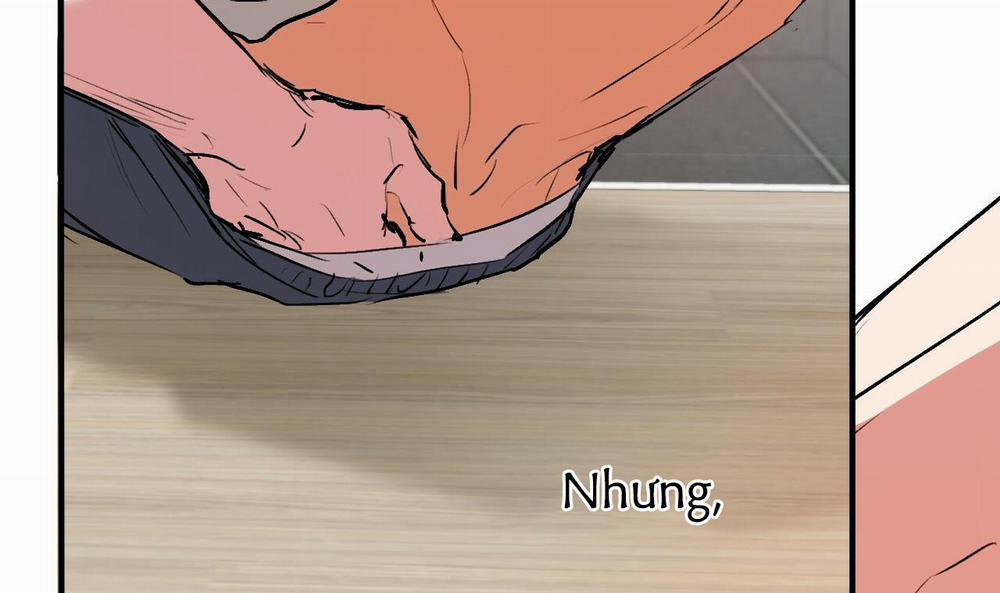 Đàn Thỏ Của Habibi 43 trang 44