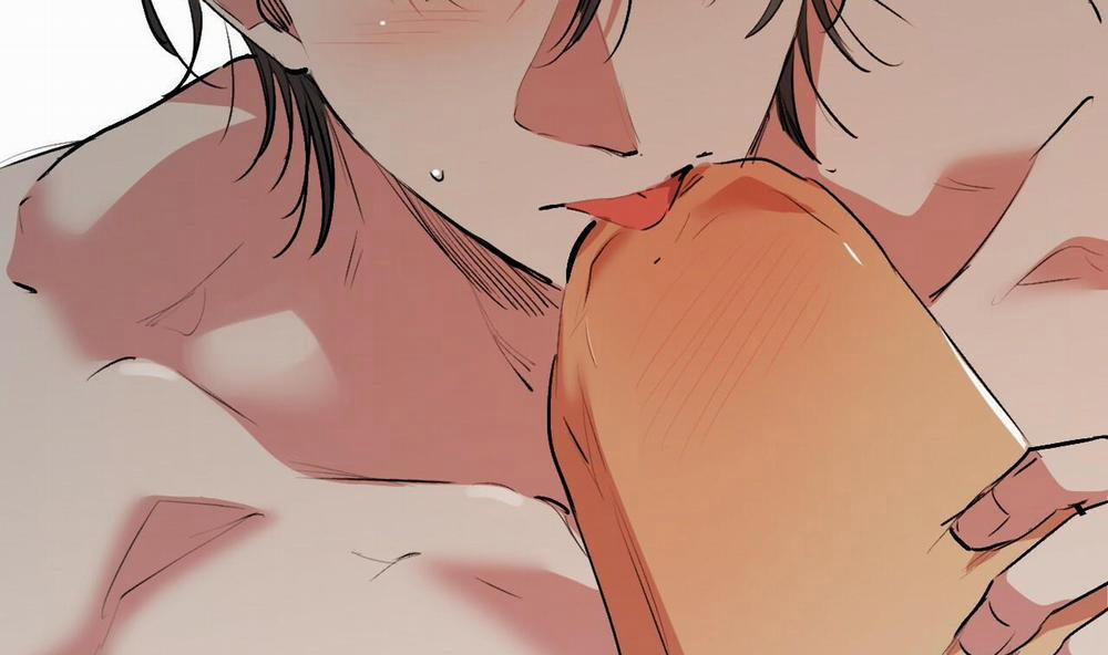 Đàn Thỏ Của Habibi 43 trang 54