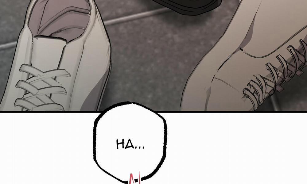 Đàn Thỏ Của Habibi 43 trang 8