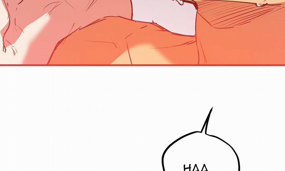 Đàn Thỏ Của Habibi 43 trang 84