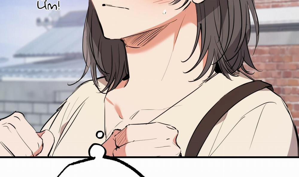 Đàn Thỏ Của Habibi 44 trang 165