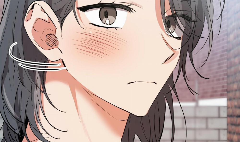 Đàn Thỏ Của Habibi 44 trang 169