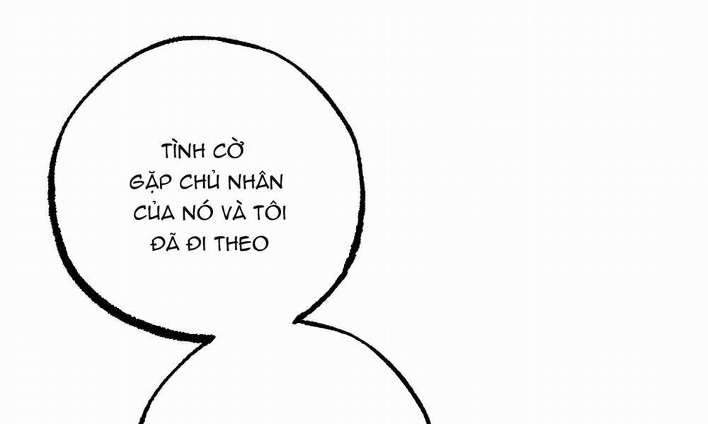 Đàn Thỏ Của Habibi 44 trang 199