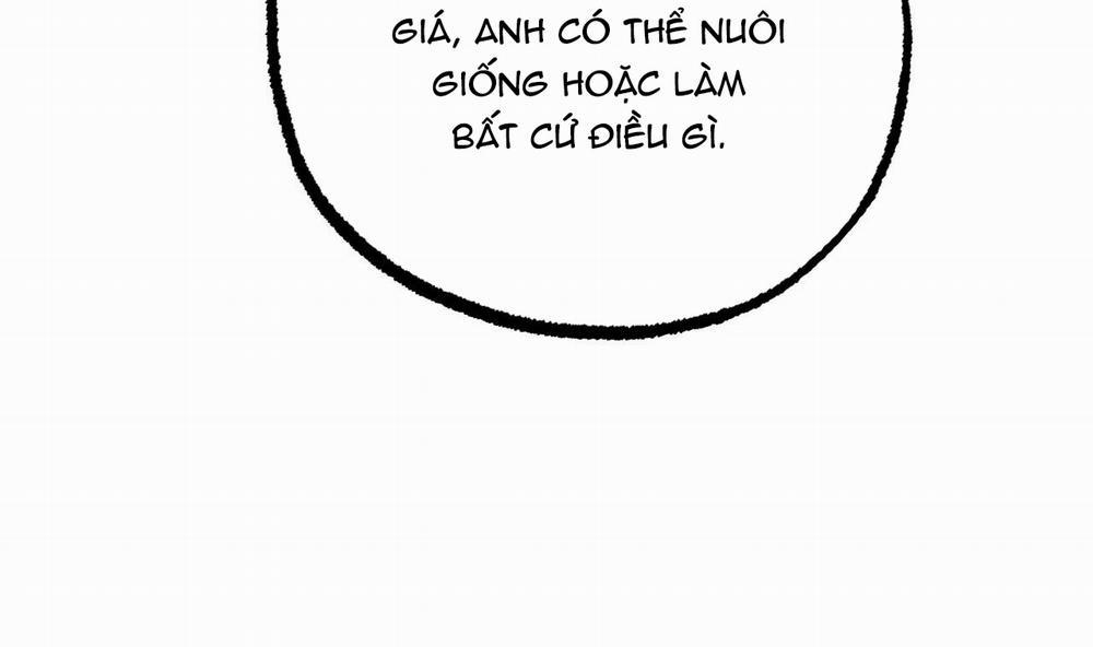 Đàn Thỏ Của Habibi 44 trang 210