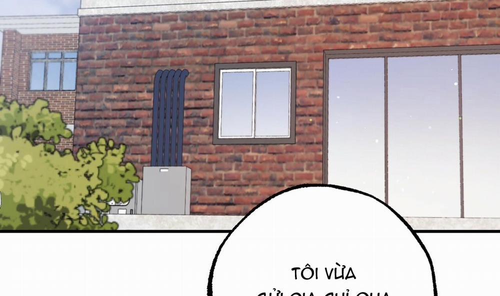 Đàn Thỏ Của Habibi 44 trang 213