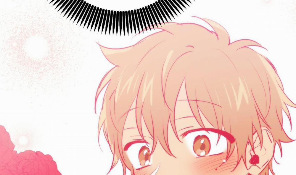 Đàn Thỏ Của Habibi 44 trang 229