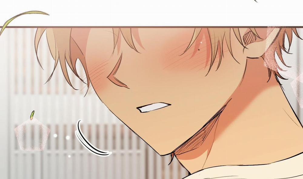 Đàn Thỏ Của Habibi 44 trang 249