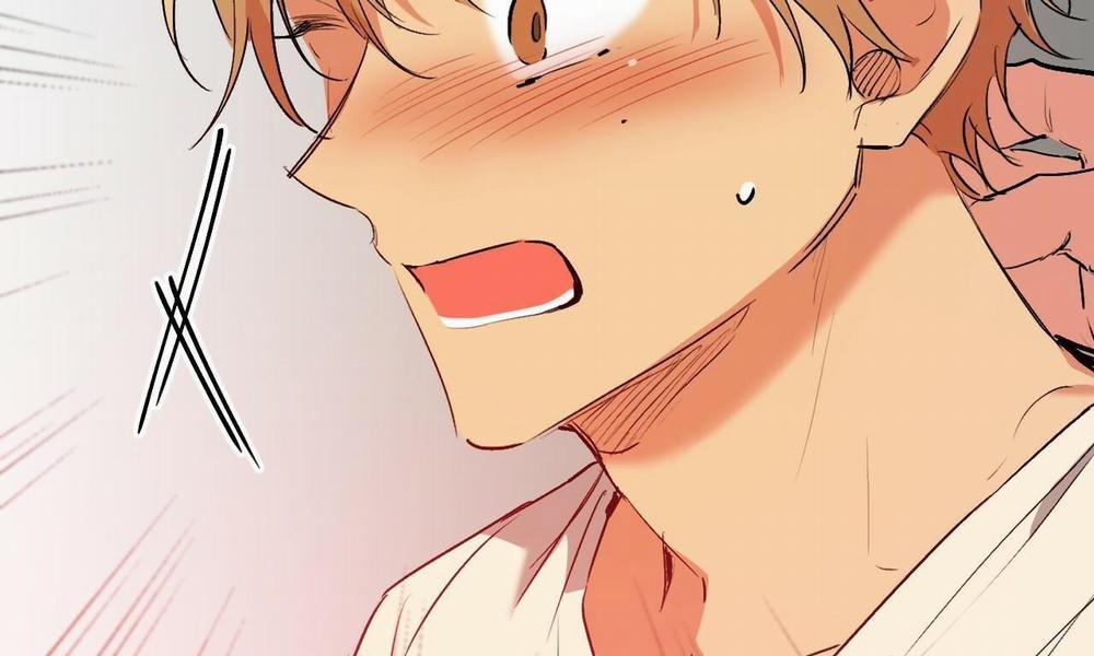 Đàn Thỏ Của Habibi 44 trang 275