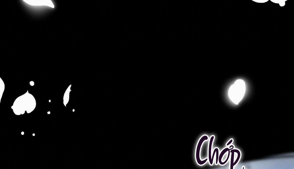 Đàn Thỏ Của Habibi 44 trang 285