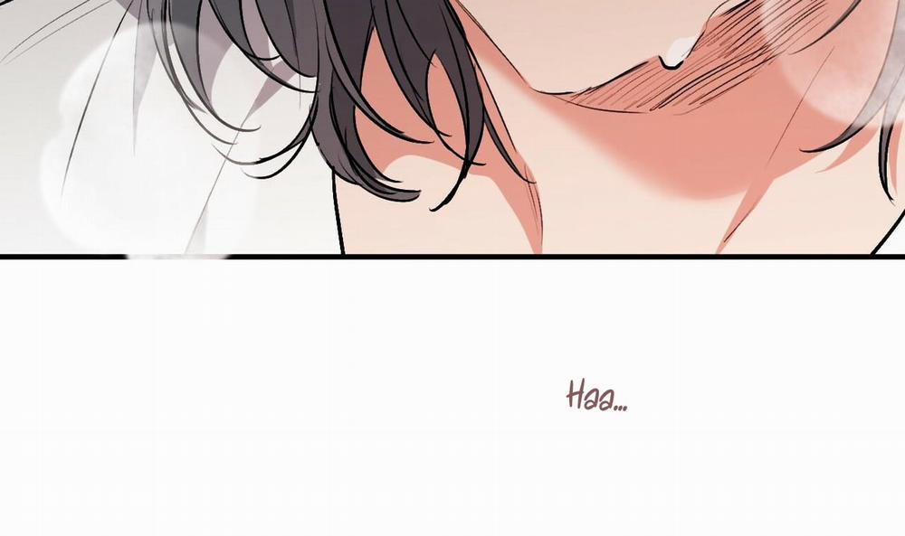 Đàn Thỏ Của Habibi 44 trang 69