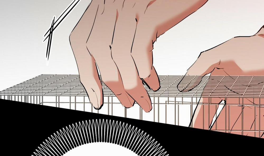 Đàn Thỏ Của Habibi 45 trang 131