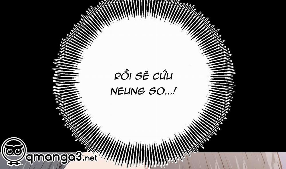 Đàn Thỏ Của Habibi 45 trang 146