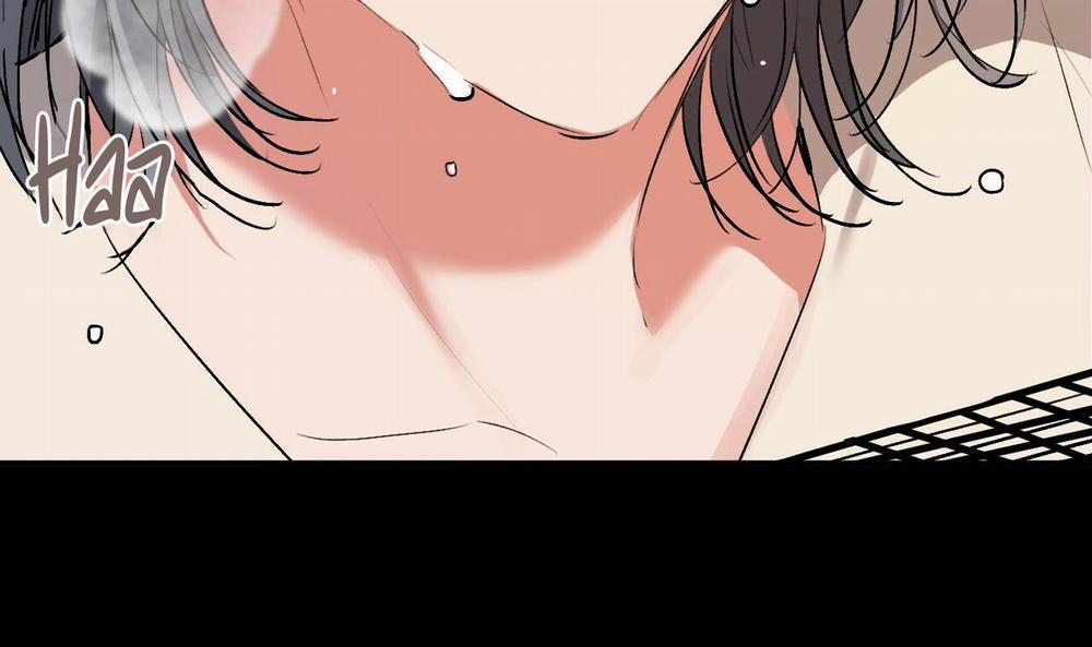 Đàn Thỏ Của Habibi 45 trang 148