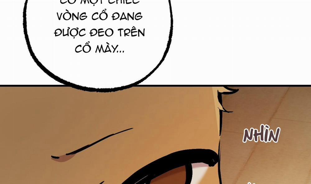 Đàn Thỏ Của Habibi 45 trang 157