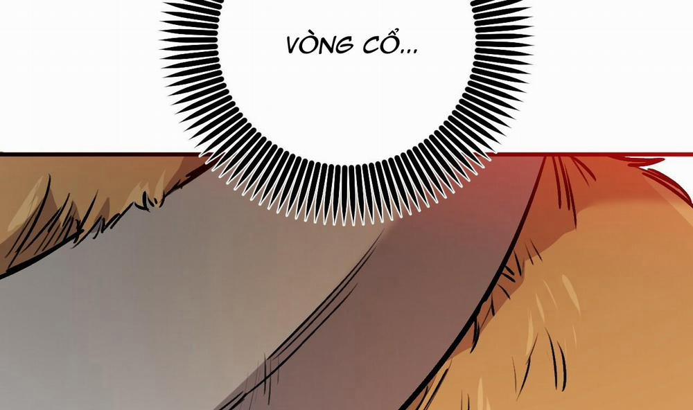 Đàn Thỏ Của Habibi 45 trang 162