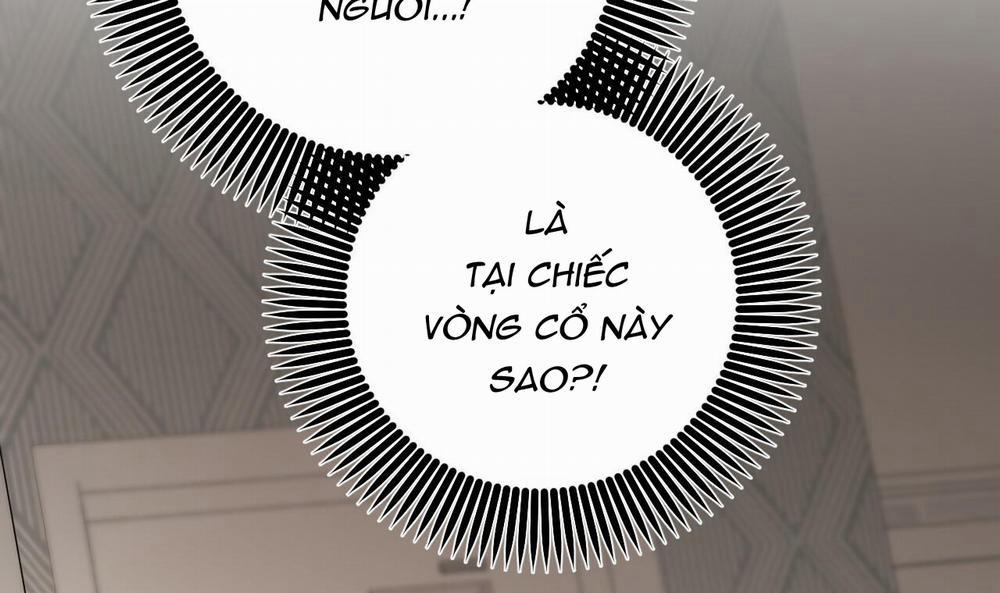 Đàn Thỏ Của Habibi 45 trang 165