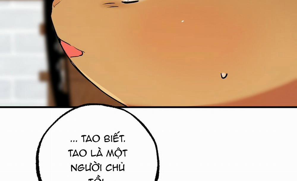 Đàn Thỏ Của Habibi 45 trang 178