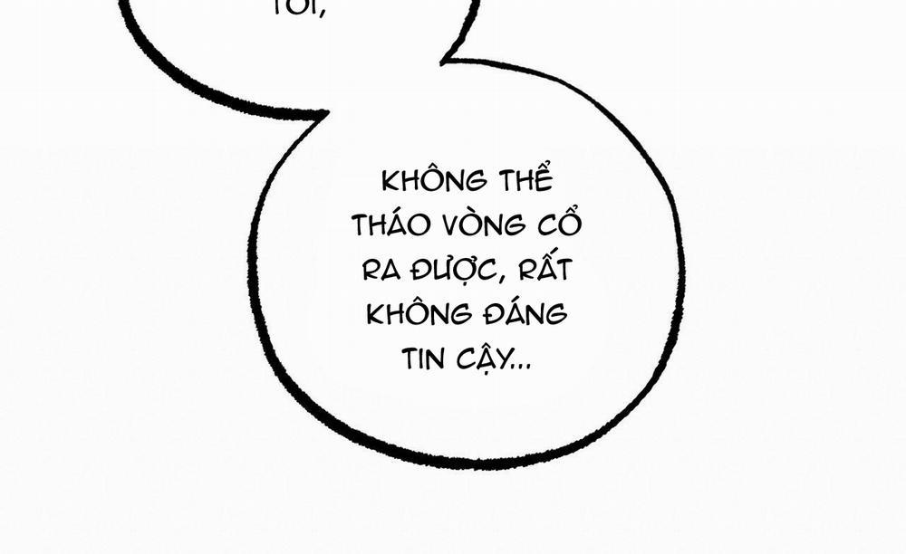 Đàn Thỏ Của Habibi 45 trang 179