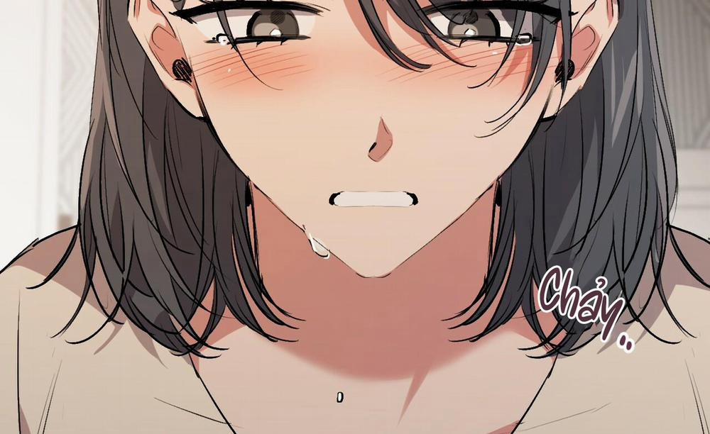 Đàn Thỏ Của Habibi 45 trang 185