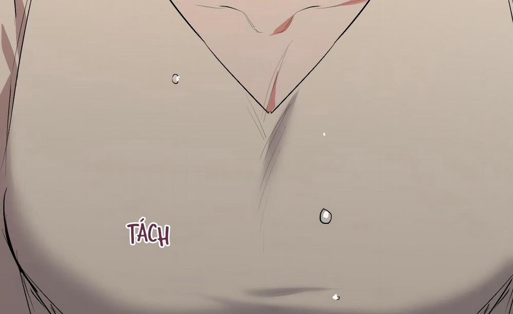 Đàn Thỏ Của Habibi 45 trang 186