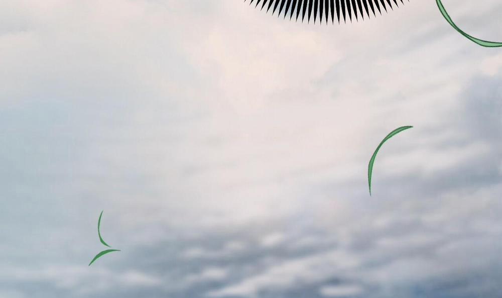 Đàn Thỏ Của Habibi 45 trang 206