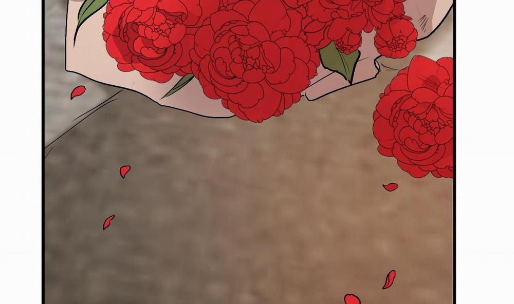 Đàn Thỏ Của Habibi 45 trang 215