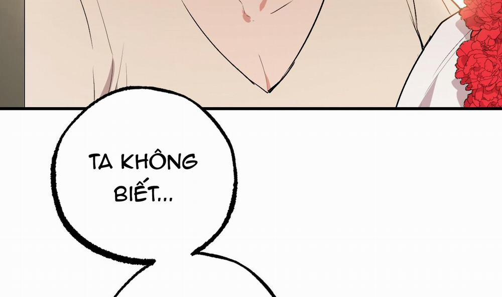 Đàn Thỏ Của Habibi 45 trang 231