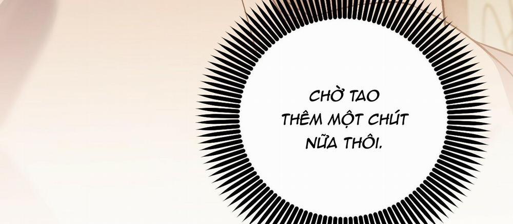 Đàn Thỏ Của Habibi 45 trang 259