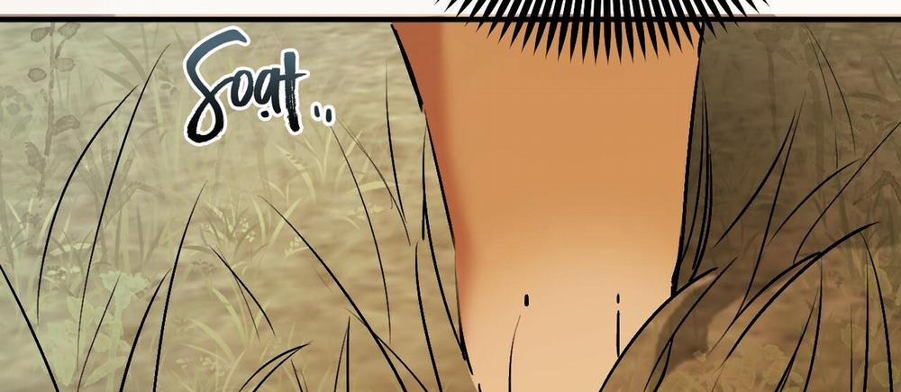 Đàn Thỏ Của Habibi 45 trang 260