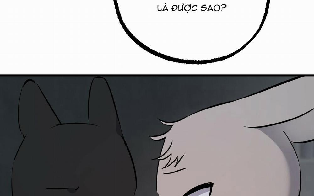 Đàn Thỏ Của Habibi 46 trang 108