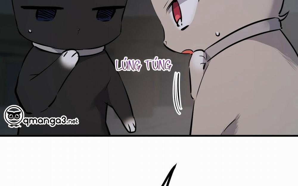 Đàn Thỏ Của Habibi 46 trang 109