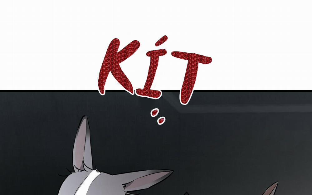 Đàn Thỏ Của Habibi 46 trang 111