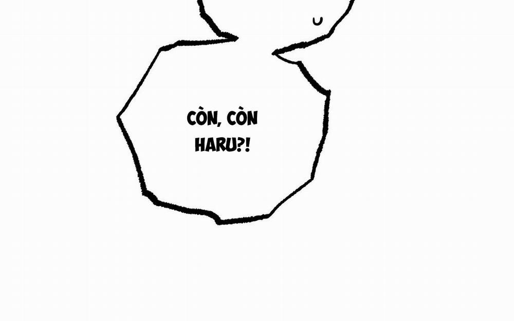 Đàn Thỏ Của Habibi 46 trang 14