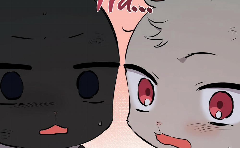 Đàn Thỏ Của Habibi 46 trang 158