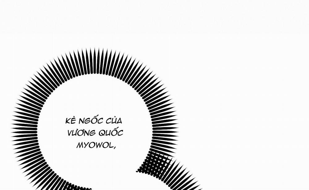 Đàn Thỏ Của Habibi 46 trang 161