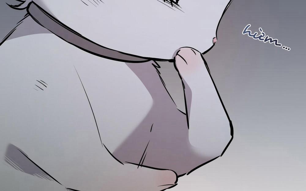 Đàn Thỏ Của Habibi 46 trang 169