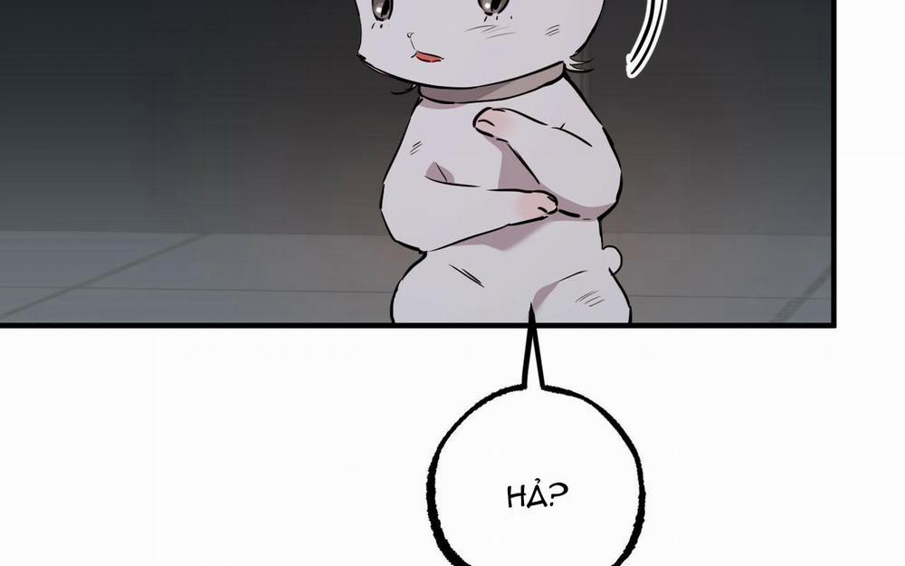 Đàn Thỏ Của Habibi 46 trang 173