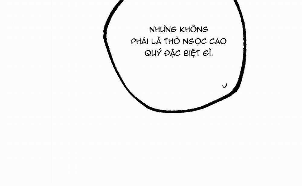 Đàn Thỏ Của Habibi 46 trang 193